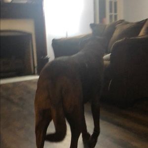 Meet your Posher, Johnny